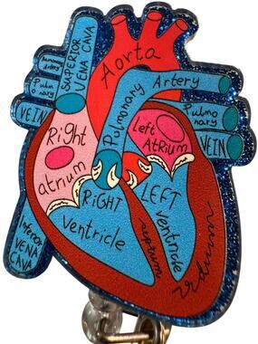 Anatomical Heart Retractable ID Badge Reel, Cardiologist, Nurse, Doctor NWT